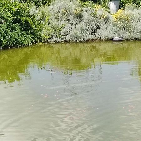Domaine Le Lanis Chambre D'Hotes Piscine Spa Privatise Sur Reservation Saint-Girons  Eksteriør billede