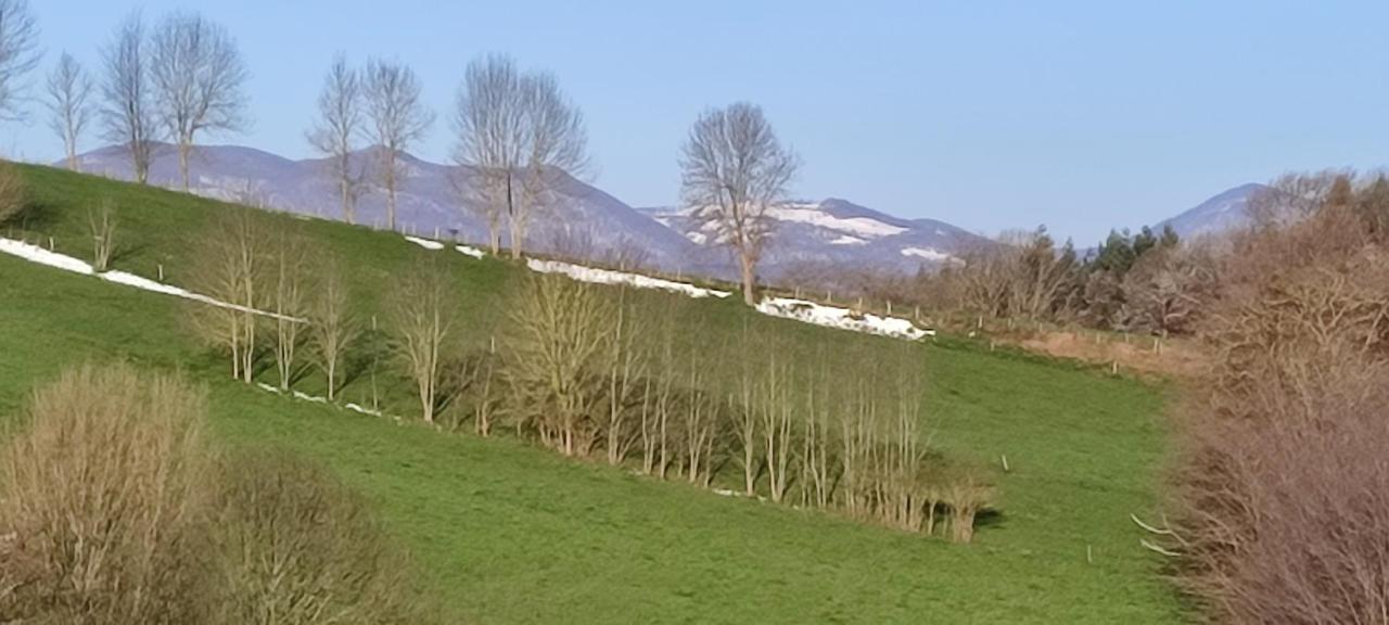 Domaine Le Lanis Chambre D'Hotes Piscine Spa Privatise Sur Reservation Saint-Girons  Eksteriør billede