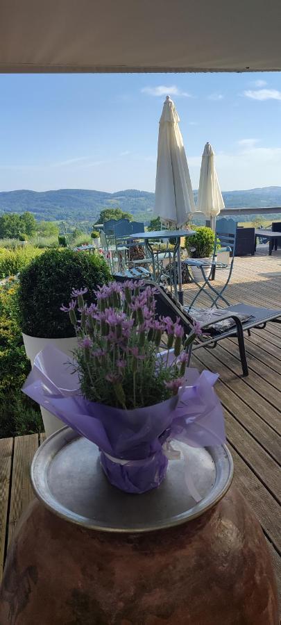 Domaine Le Lanis Chambre D'Hotes Piscine Spa Privatise Sur Reservation Saint-Girons  Eksteriør billede
