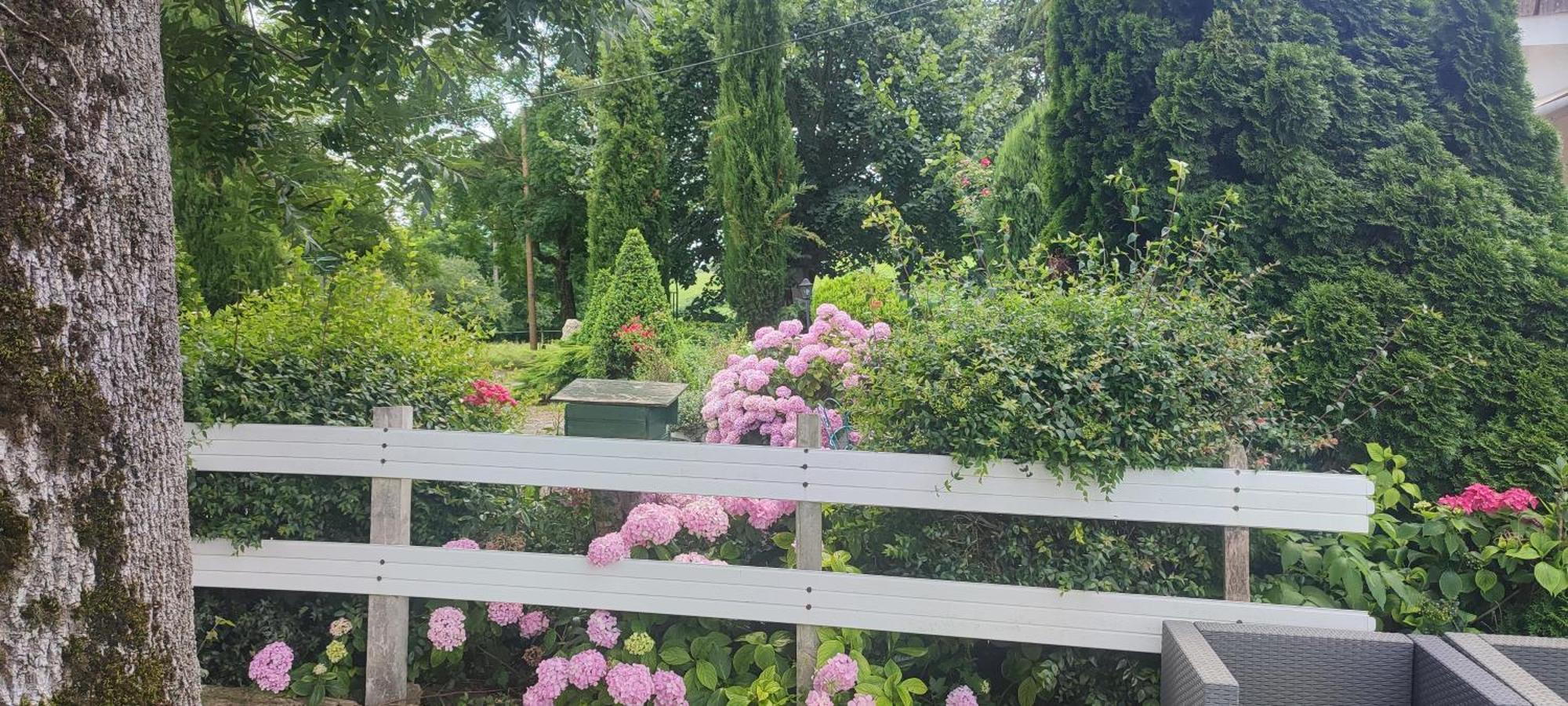 Domaine Le Lanis Chambre D'Hotes Piscine Spa Privatise Sur Reservation Saint-Girons  Eksteriør billede